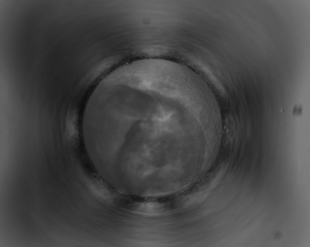 X0000102840212200809081227