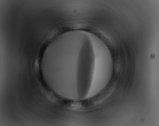 X0000102840214200809081227