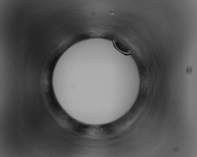 X0000102840215200809081227