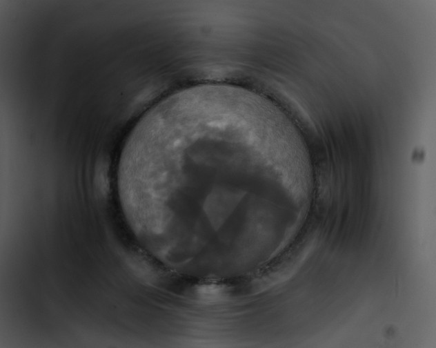 X0000102840216200809081227