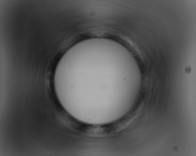 X0000102840217200809081227