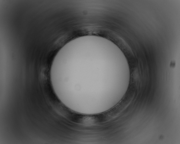 X0000102840218200809081227