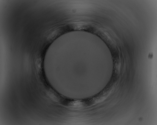 X0000102840219200809081227