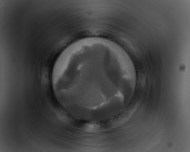 X0000102840220200809081227