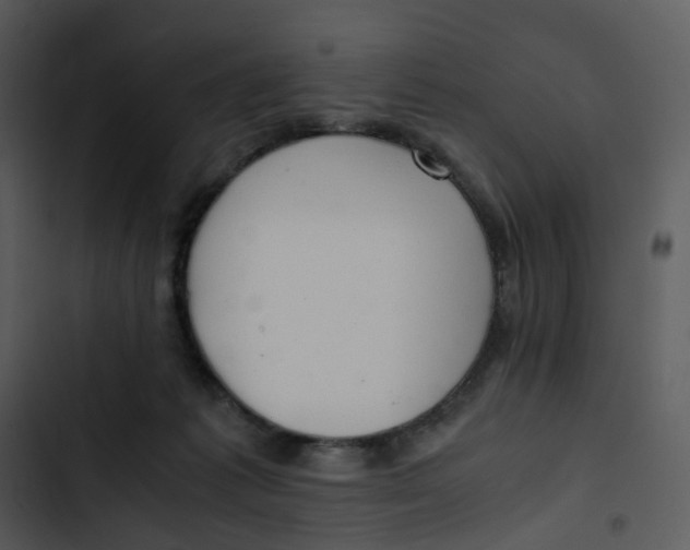 X0000102840221200809081227