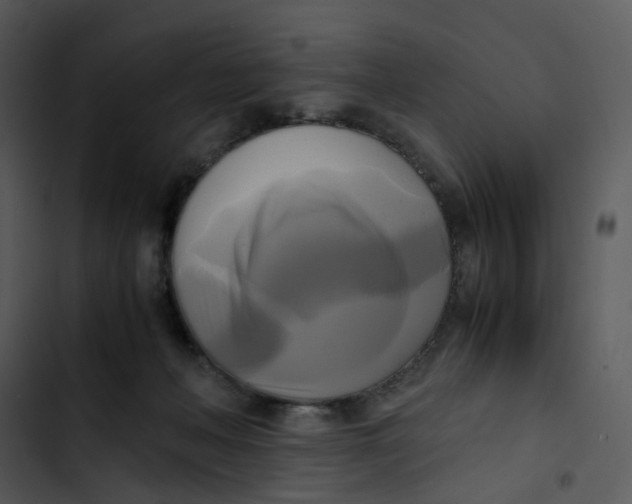 X0000102840222200809081227