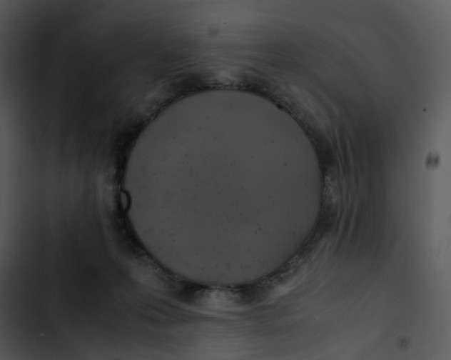 X0000102840223200809081227