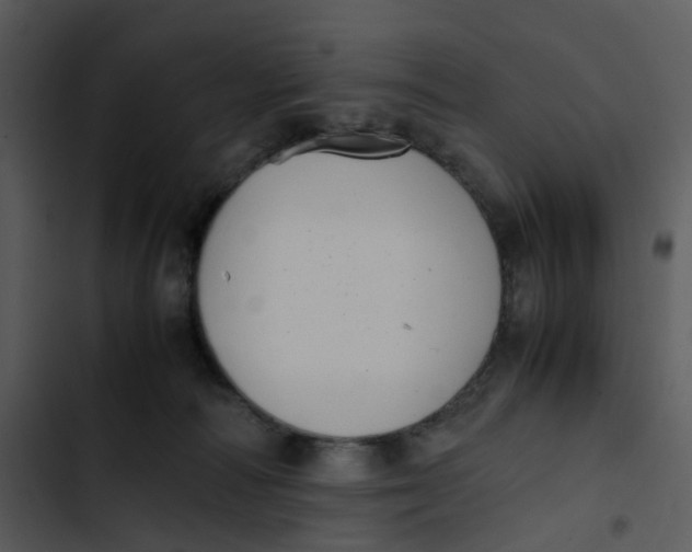 X0000102840226200809081227