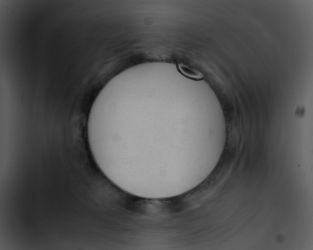 X0000102840229200809081227