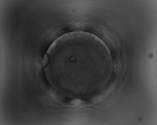 X0000102840231200809081227