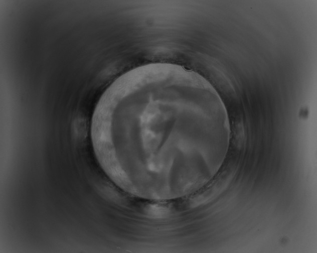 X0000102840232200809081227