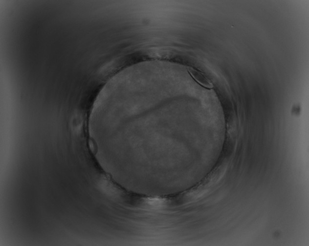 X0000102840233200809081227