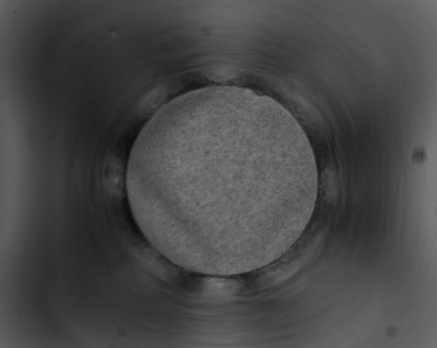 X0000102840234200809081227