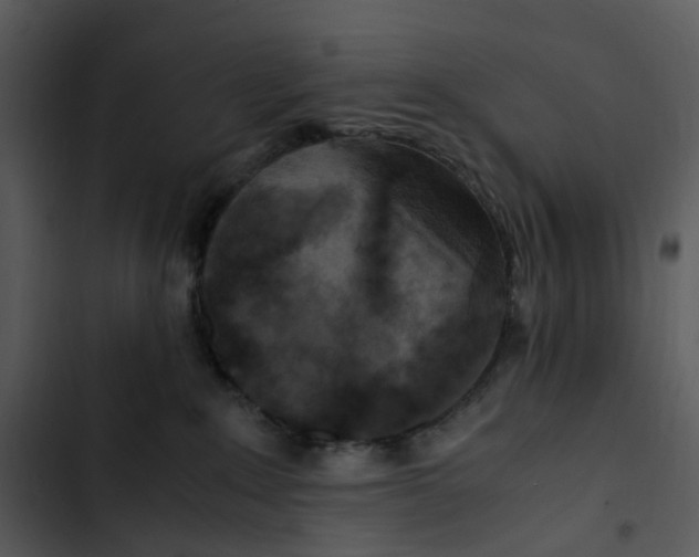 X0000102840235200809081227