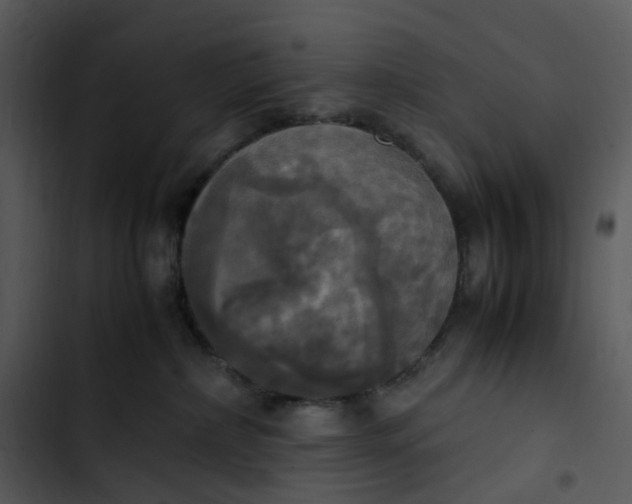 X0000102840236200809081227