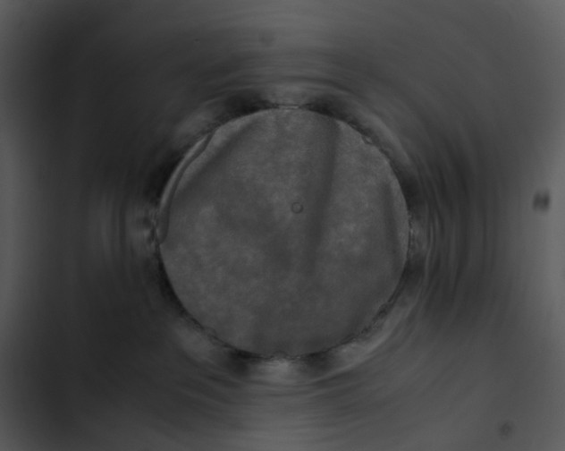 X0000102840237200809081227