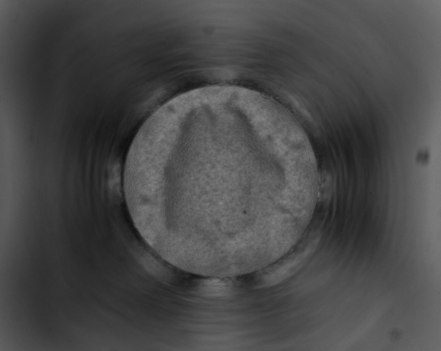 X0000102840238200809081227