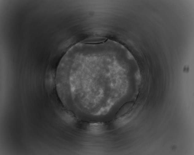 X0000102840240200809081227