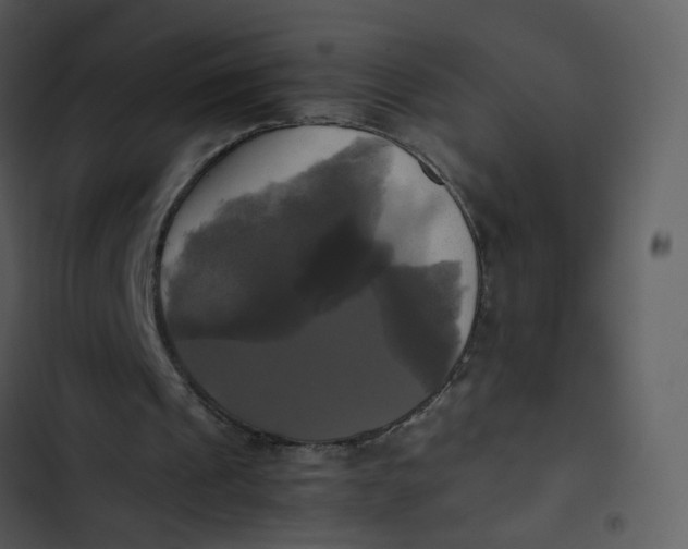 X0000102840241200809081226