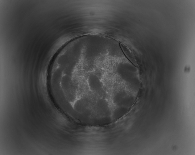 X0000102840242200809081226