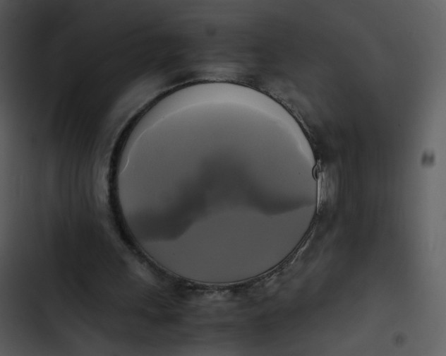 X0000102840243200809081226