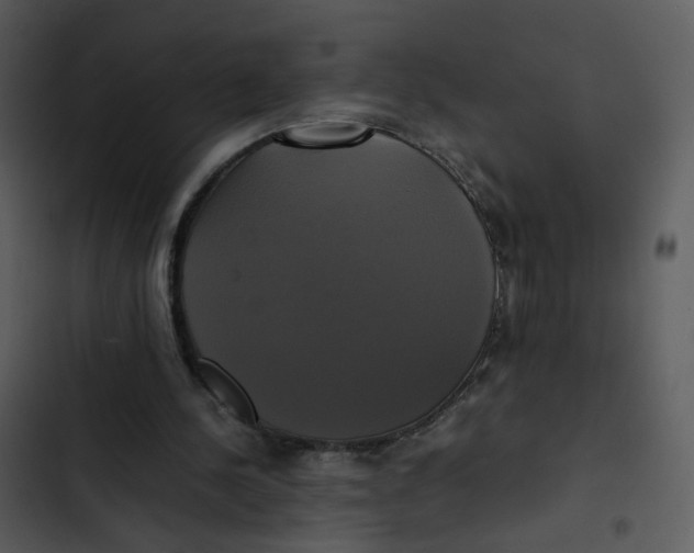 X0000102840244200809081226