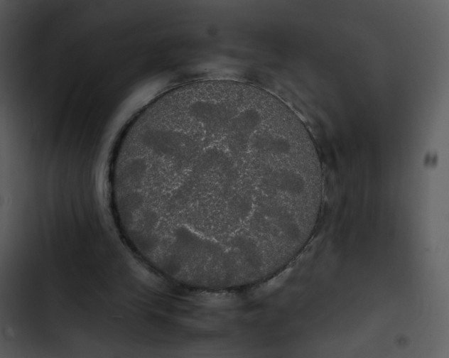 X0000102840245200809081226