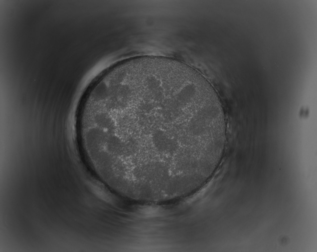 X0000102840246200809081226