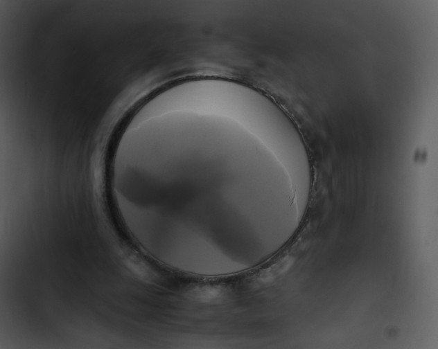 X0000102840247200809081226