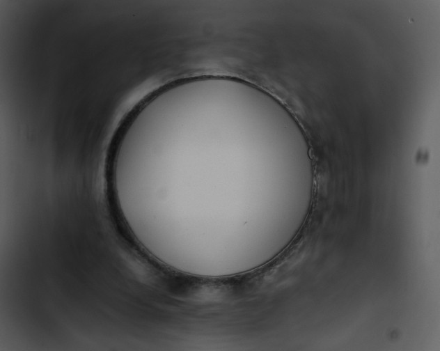 X0000102840248200809081227