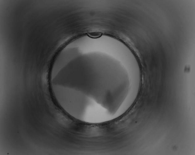 X0000102840249200809081227