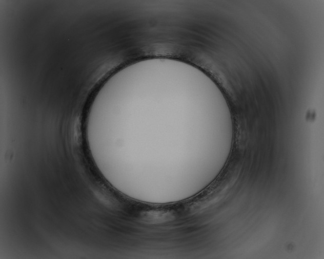 X0000102840251200809081227