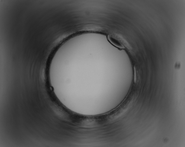 X0000102840252200809081227