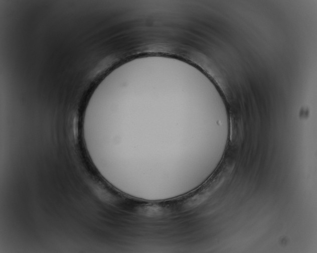 X0000102840253200809081227