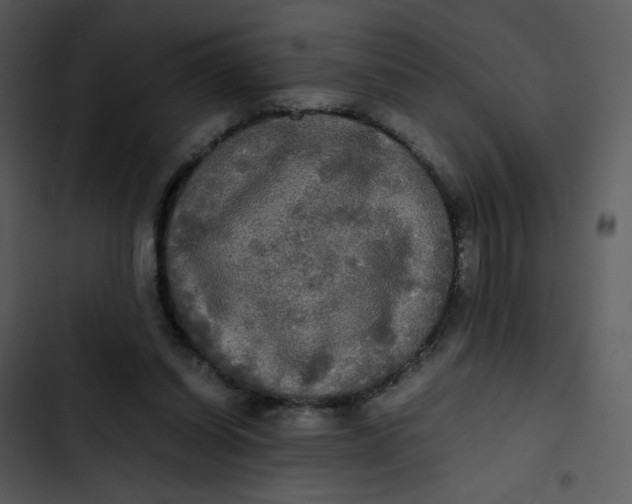 X0000102840254200809081227