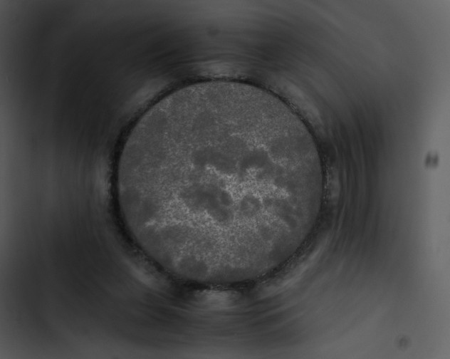 X0000102840255200809081227