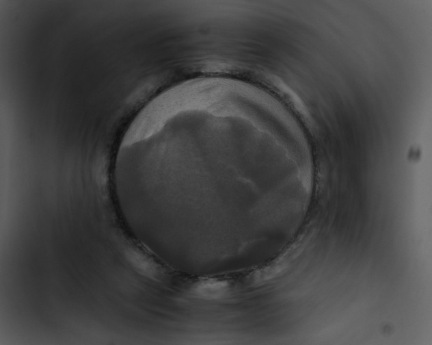 X0000102840257200809081227