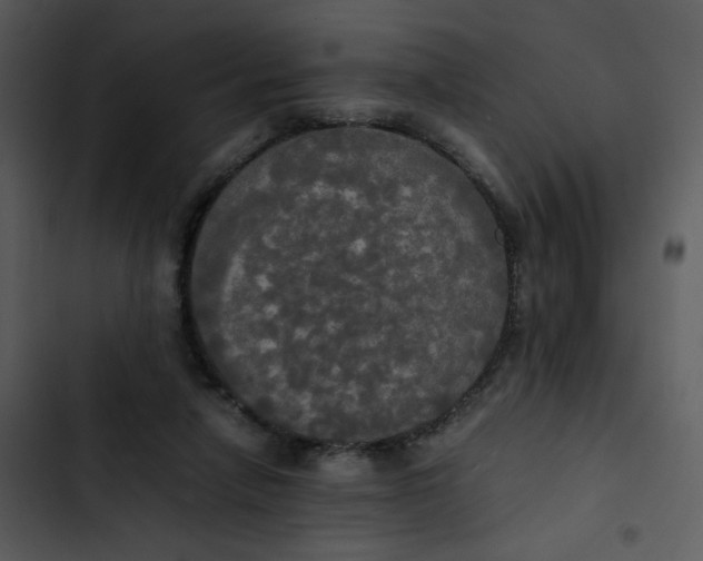 X0000102840258200809081227