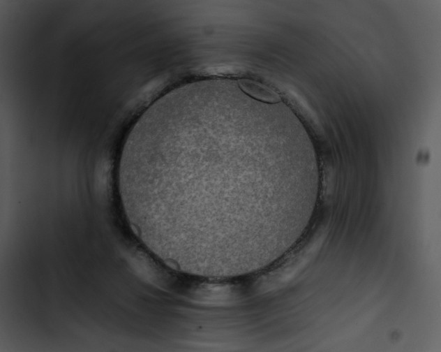 X0000102840260200809081227