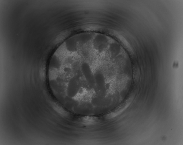 X0000102840261200809081227