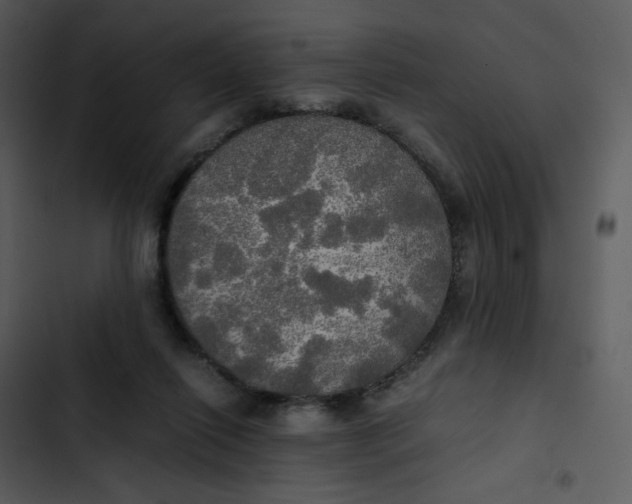 X0000102840262200809081227