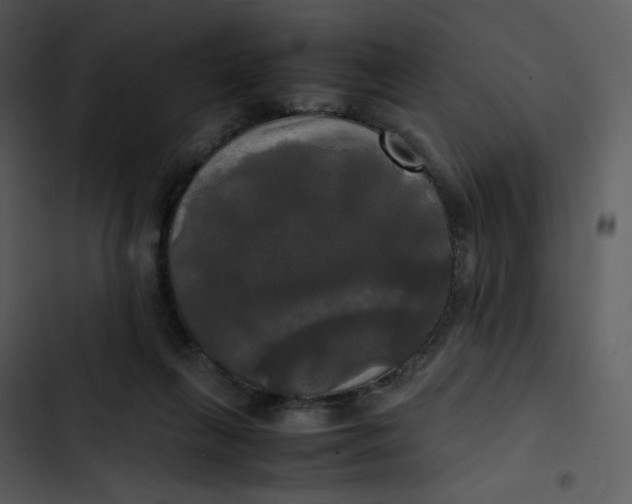 X0000102840263200809081227