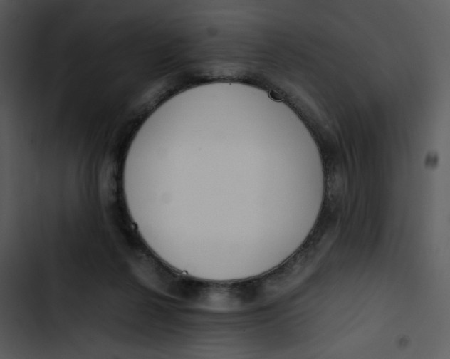 X0000102840264200809081227