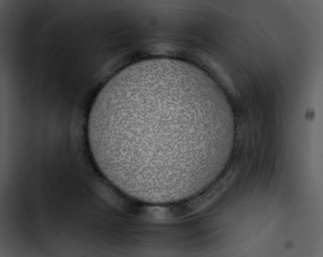 X0000102840265200809081227