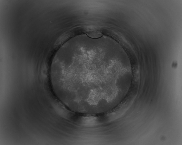 X0000102840266200809081227