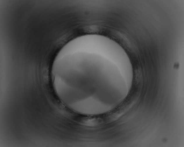 X0000102840267200809081227