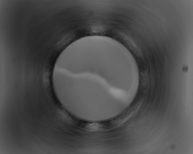 X0000102840269200809081227