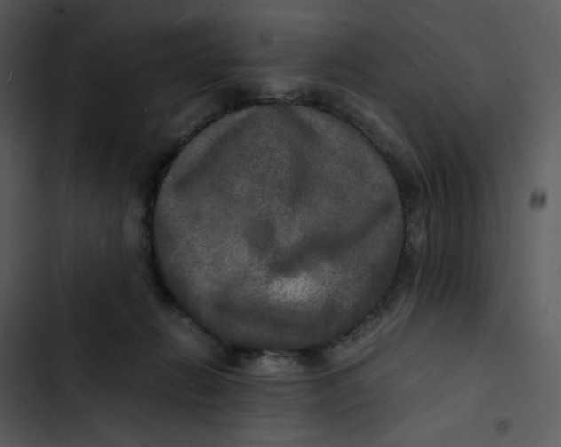 X0000102840270200809081227