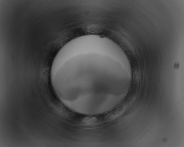 X0000102840271200809081227