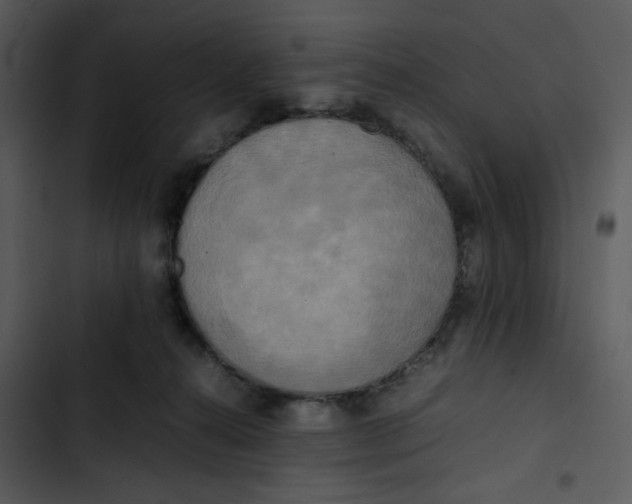 X0000102840272200809081227